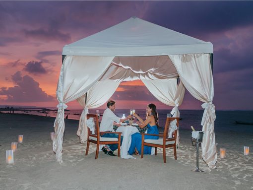 Ma Joly Vegetarian Romantic Dinner with Tent