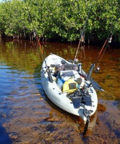 Mangrove Forest Bali Canoe Eco Tour (4)