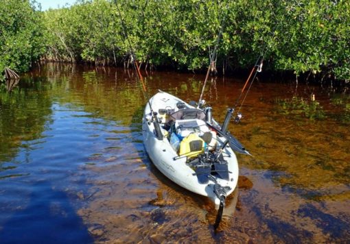 Mangrove Forest Bali Canoe Eco Tour (4)