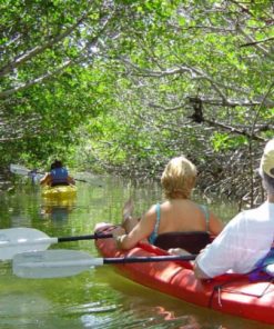 Mangrove Forest Bali Canoe Eco Tour (5)