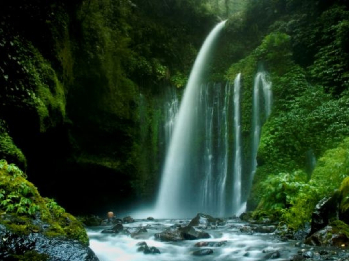 Escape to Tiu Kelep Waterfall will be the best destination for your adventurous journey of Lombok Waterfall Tour!
