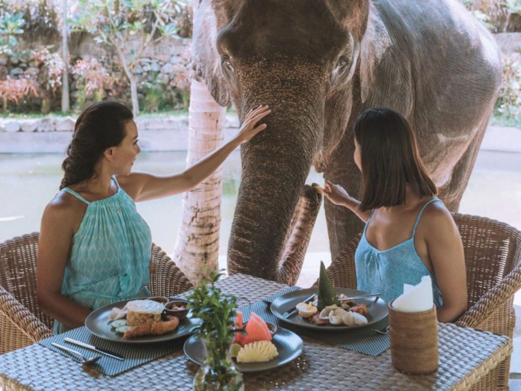Lombok Elephant Park