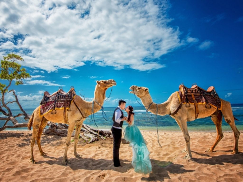 Capture every single moment and make them last forever with camel ride bali