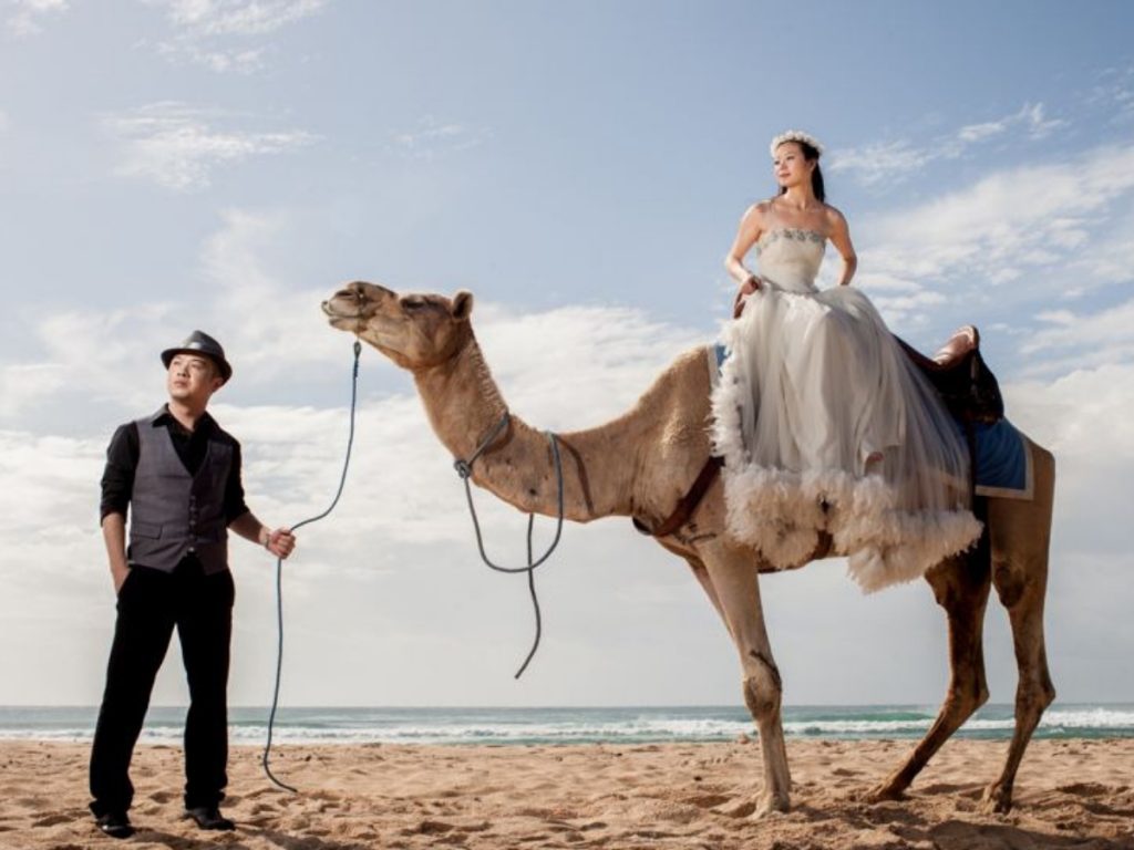 Choose or create your very own concept with camel ride bali