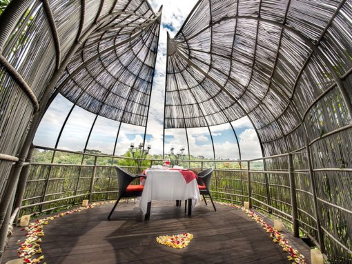 Bird Nest Romantic Dining Ubud (1)