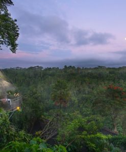 Bird Nest Romantic Dining Ubud