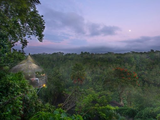 Bird Nest Romantic Dining Ubud