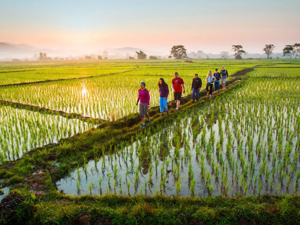 Sambangan Waterfall Tour Package. Get closer to the local culture through the rice field tour 