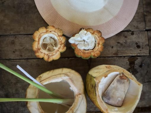 Coconut Drink
