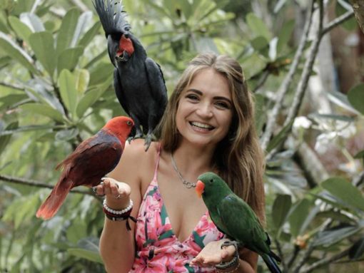 photo with birds