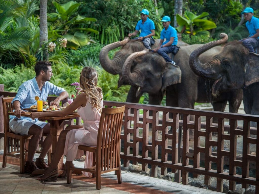 Elephant Safari Park Bali Elephant Jumbo Wash and Ride Elephant Safari Park Bali Elephant Jumbo Wash and Ride