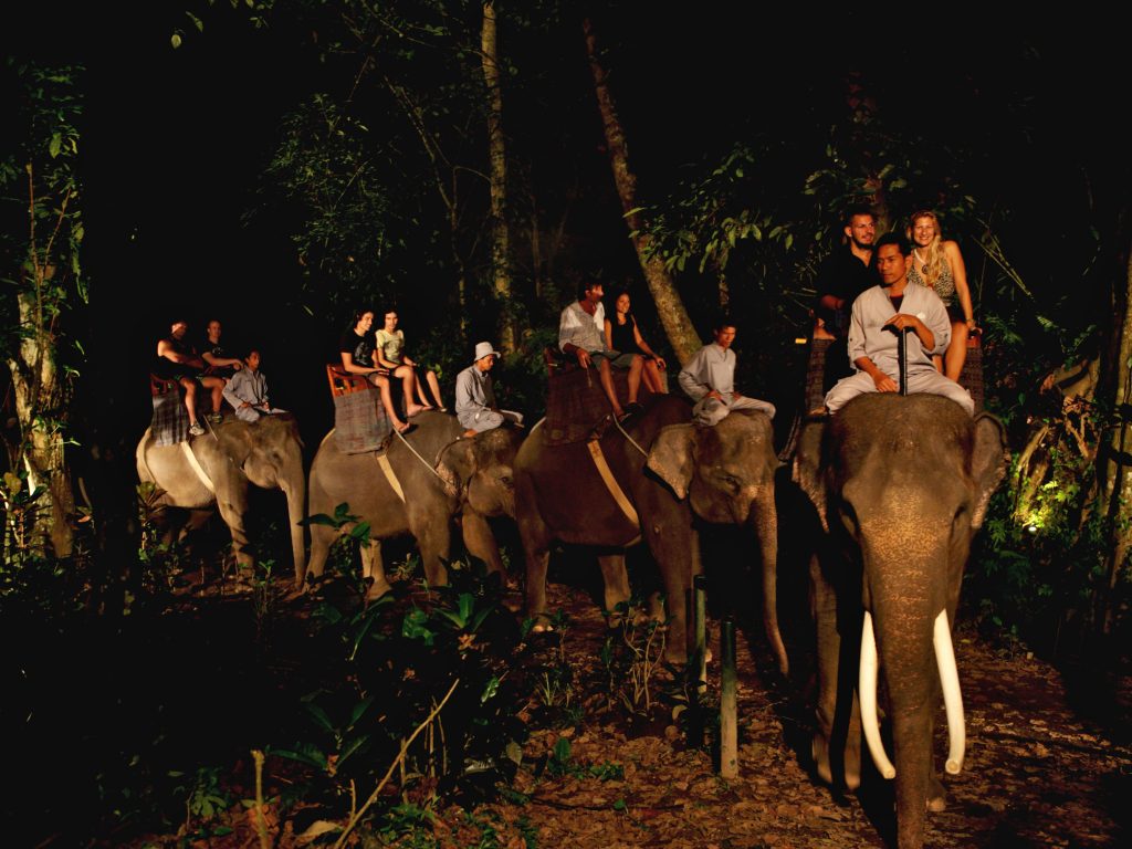 safari under the stars bali