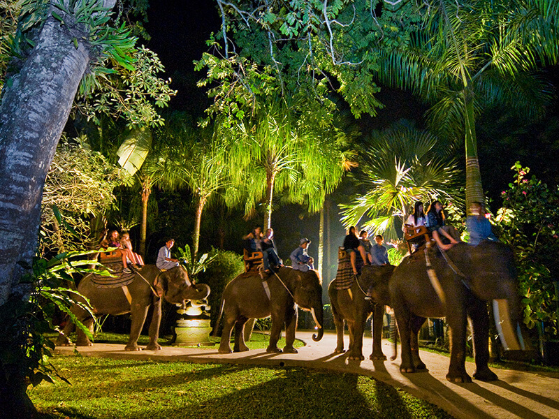 safari under the stars bali