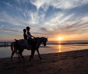 Horse Ride On Seminyak Beach