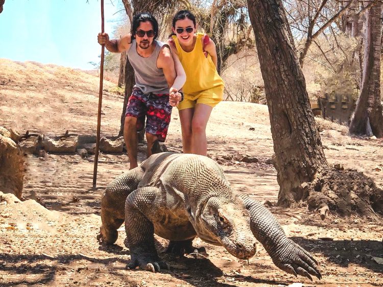 komodo dragon tour