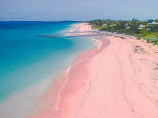 Pink Beach by rawalombok