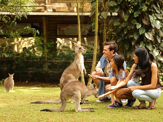 jakarta safari tour