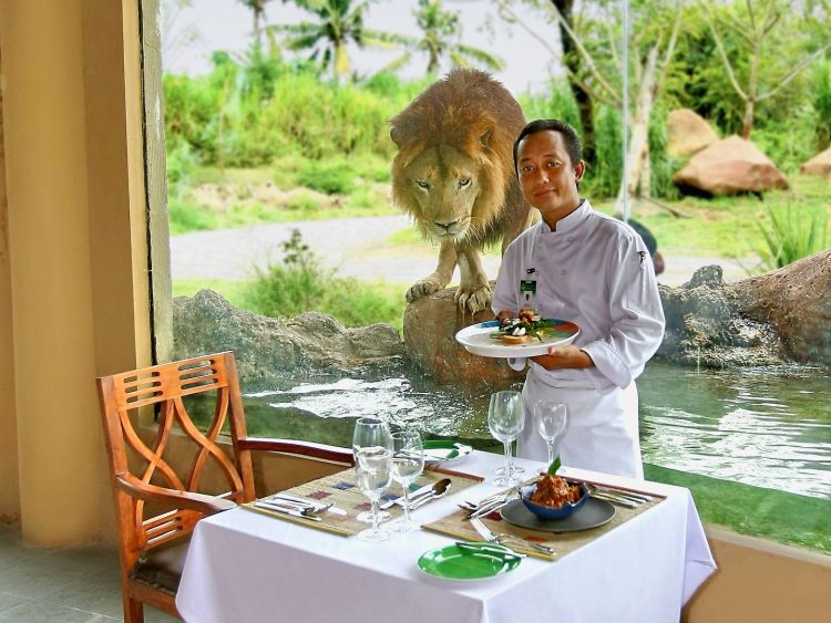 bali safari giraffe breakfast