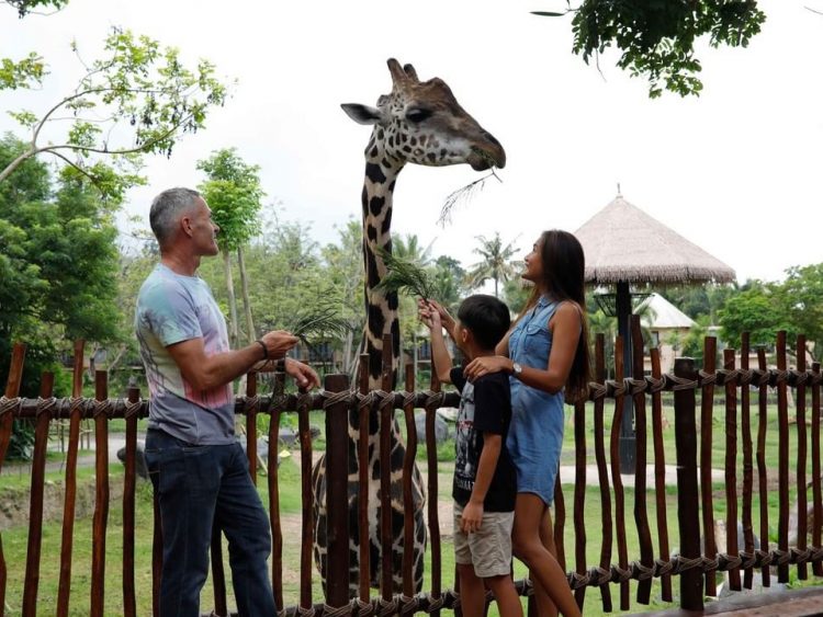 bali safari giraffe breakfast