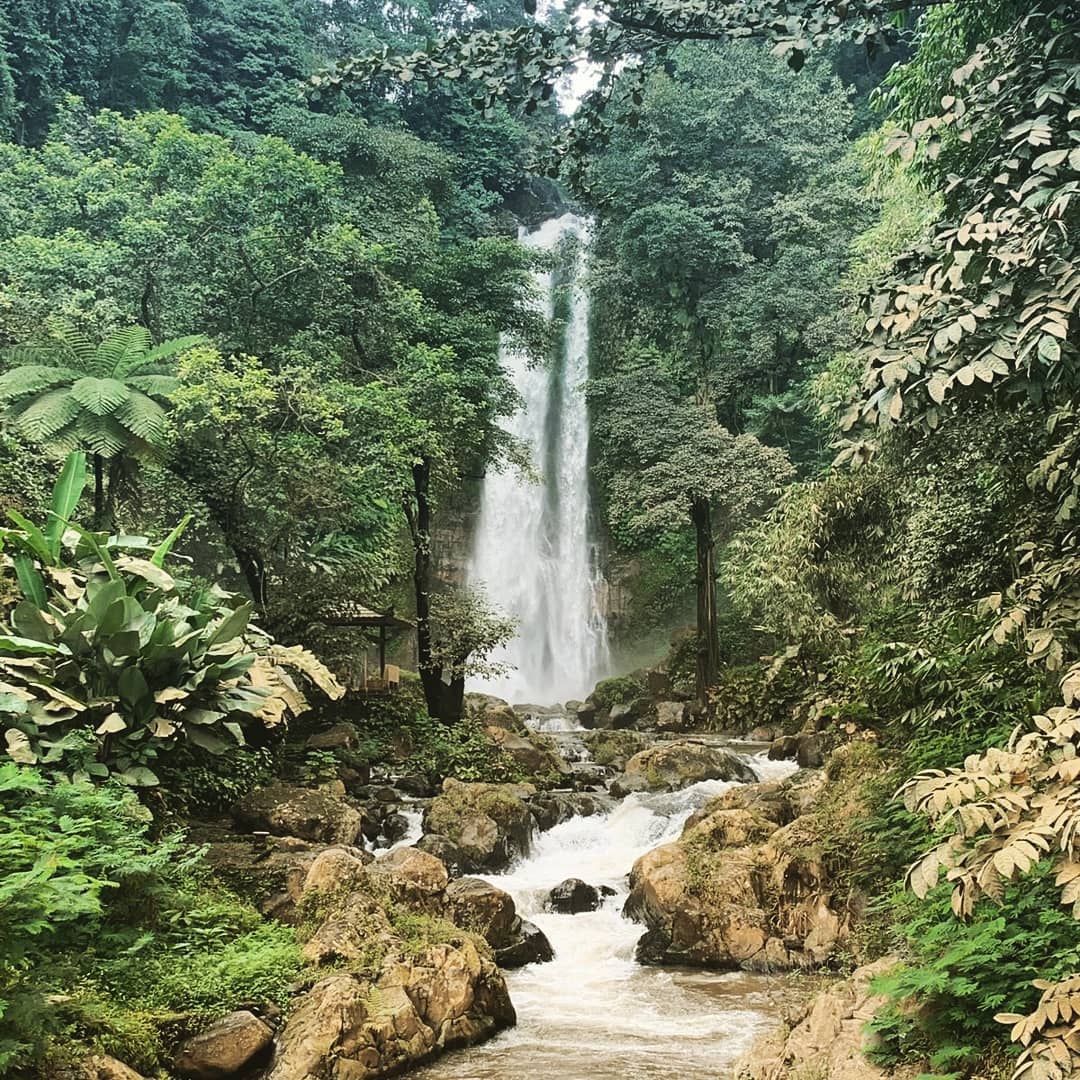 Waterfalls in Bali; Gitgit Waterfall