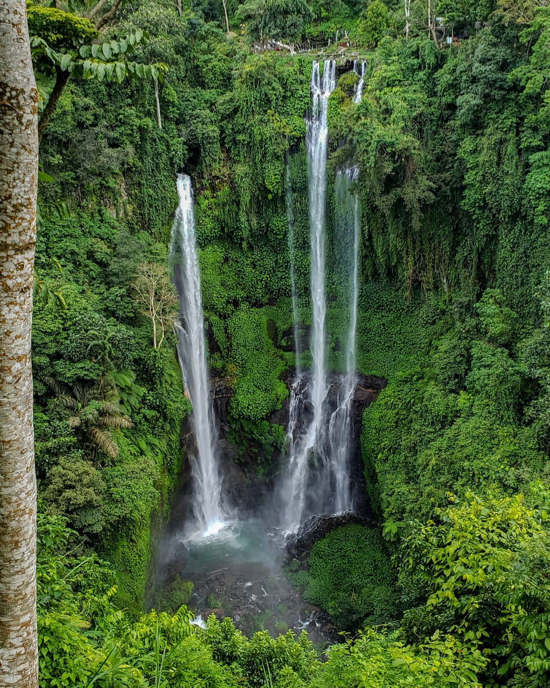 Waterfalls in Bali; Sekumpul Waterfall