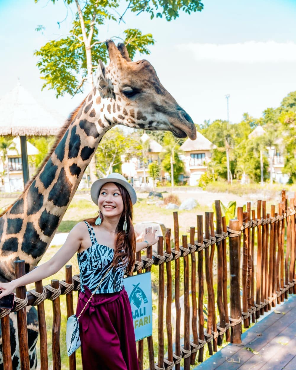 Activities in Bali; Bali Safari and Marine Park 