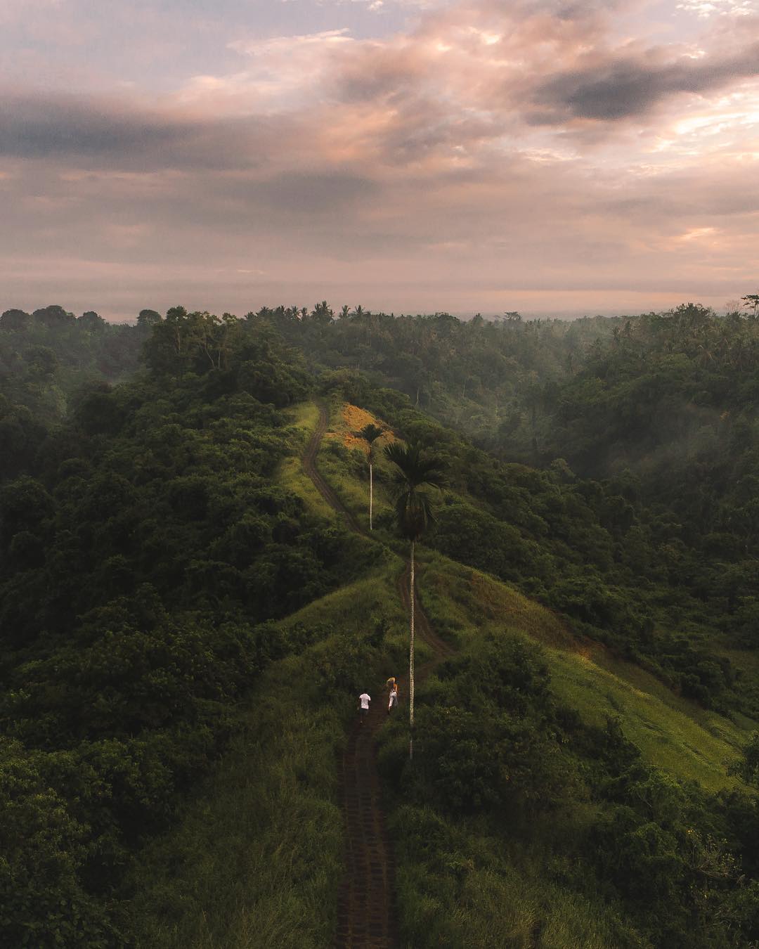 Places to See in Bali; Campuhan Ridge Walk 