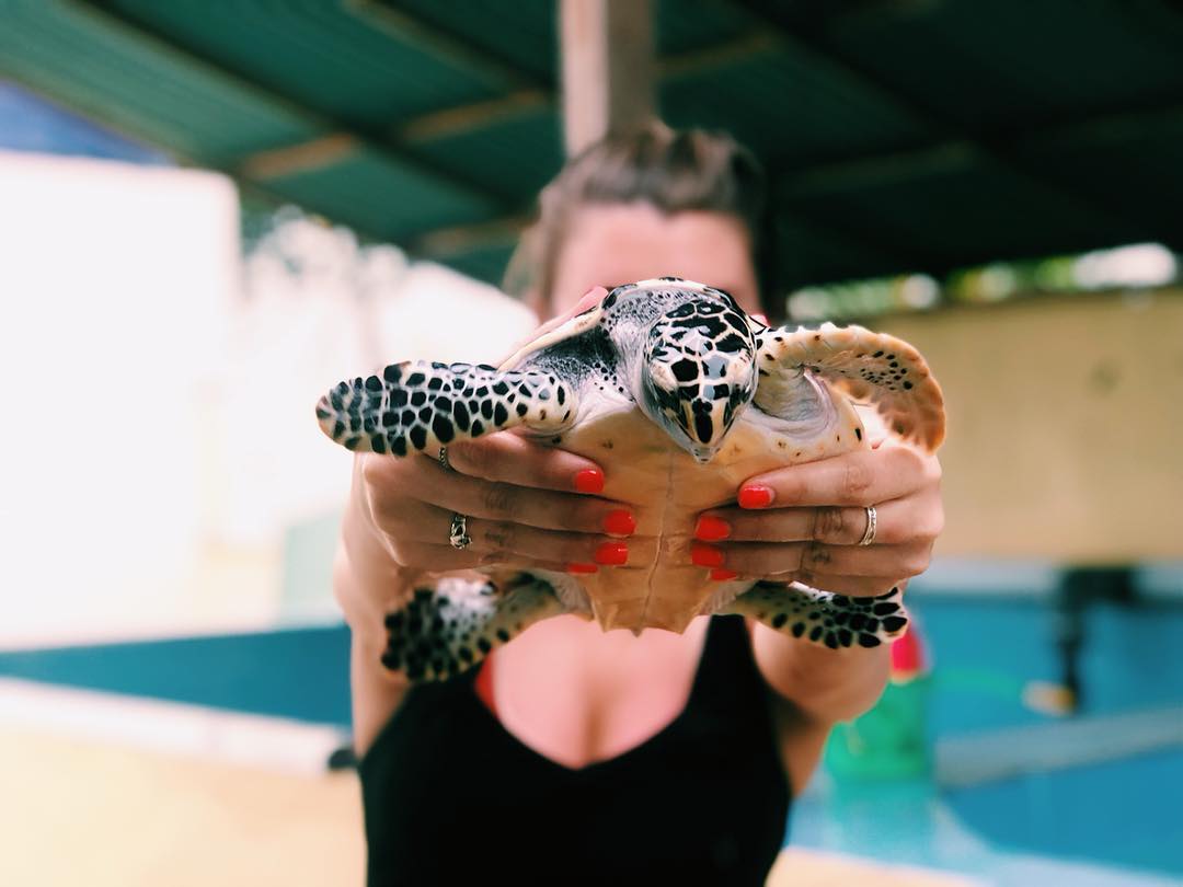 Volunteers in Bali; Go Eco 