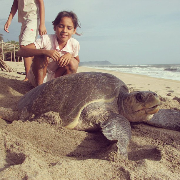 Volunteers in Bali; IFRE Volunteers 