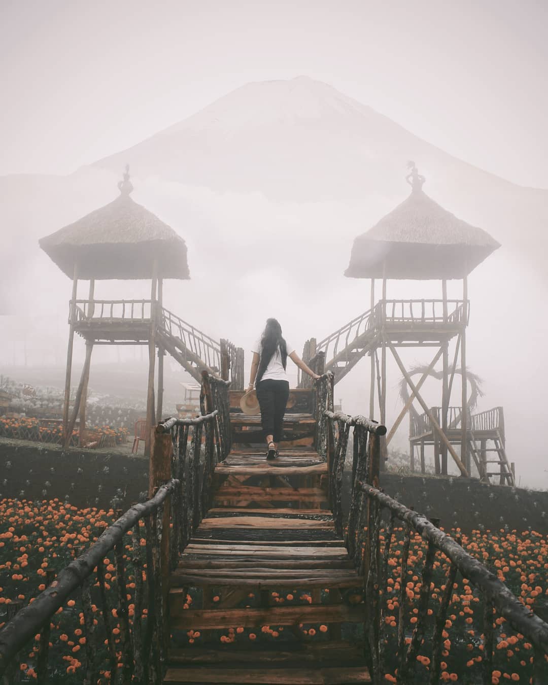 Places to See in Bali; Marigolds Field in Temukus Village 