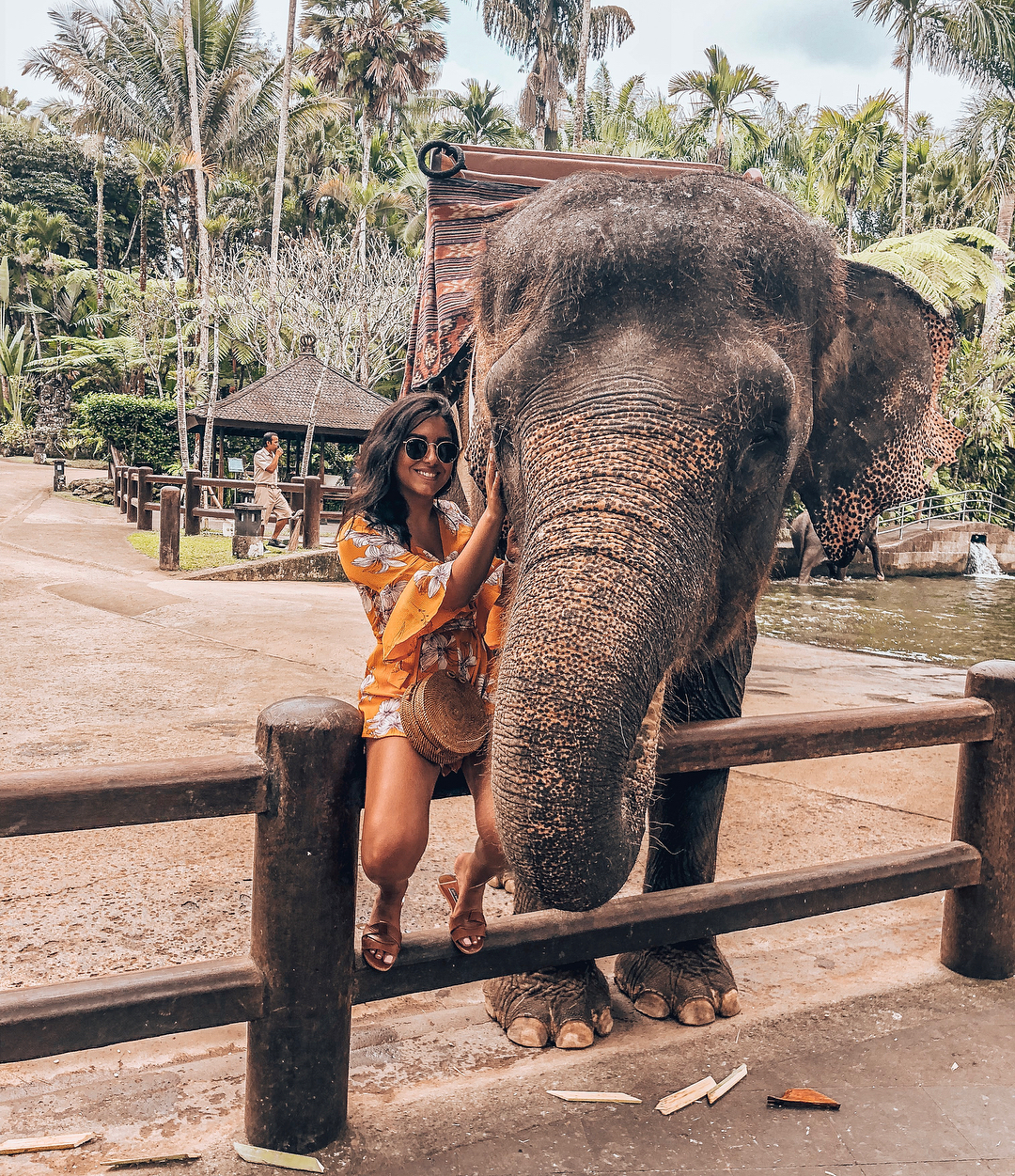 Places to See in Bali; Mason Elephant Park 