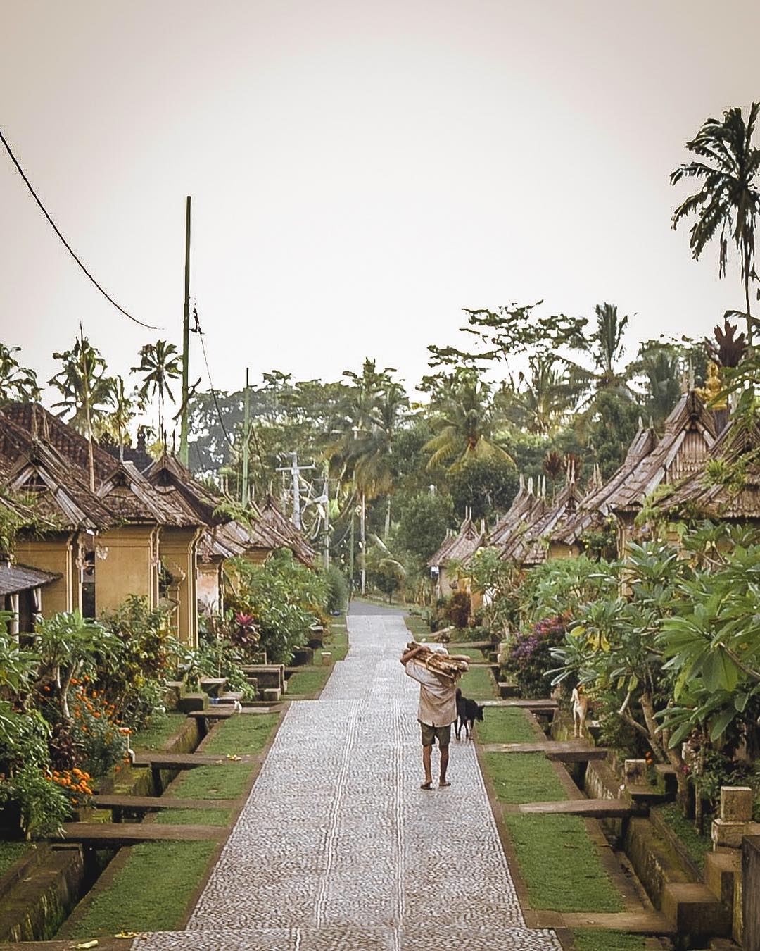 What to See in Bali; Penglipuran Village 