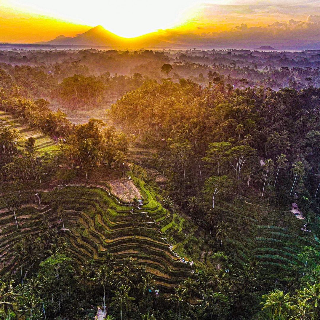 Places to See in Bali; Tegalalang Rice Terraces 