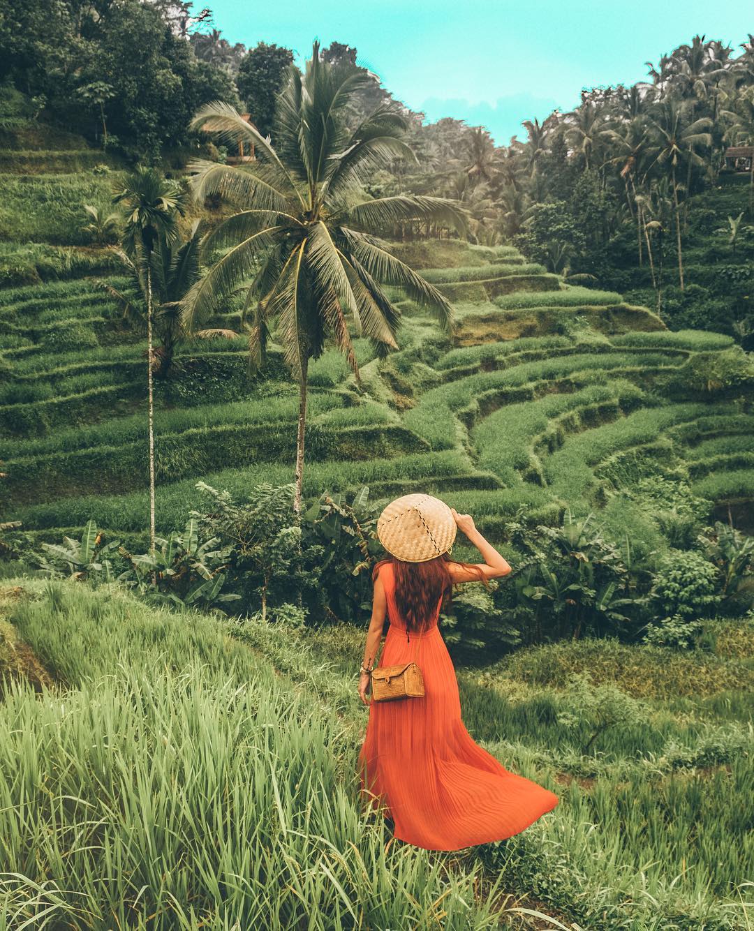 What to See in Bali; Tegalalang Rice Terraces 