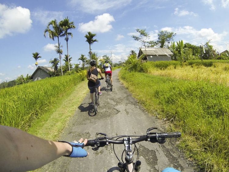 wandernesia bali cycling tour