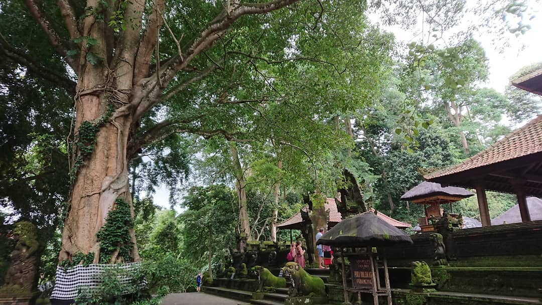 Bali Temple: Pura Dalem Agung by @evergreen.laguna