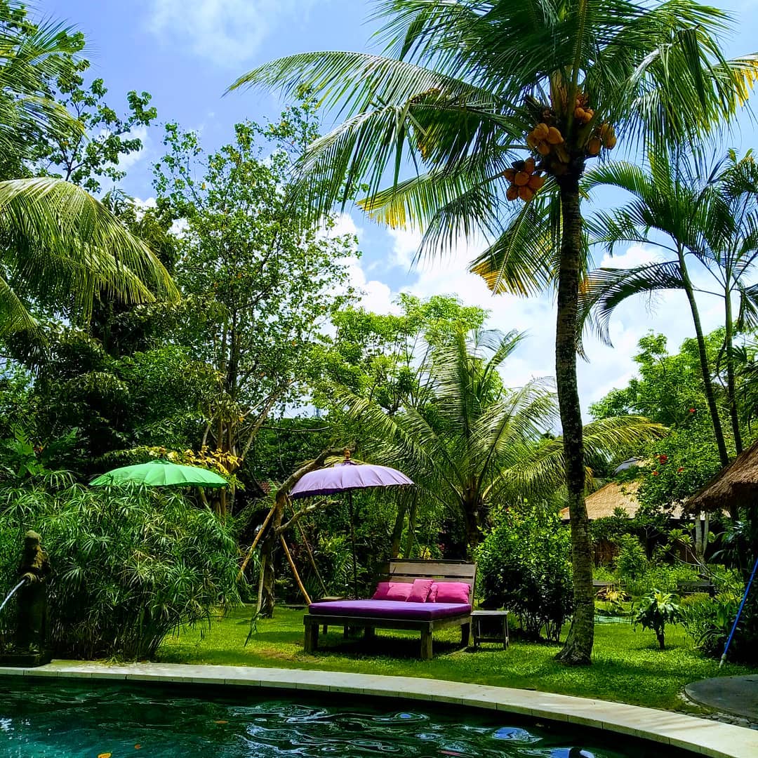 Ubud Hotels: Swasti Eco Cottages by @baliswasti