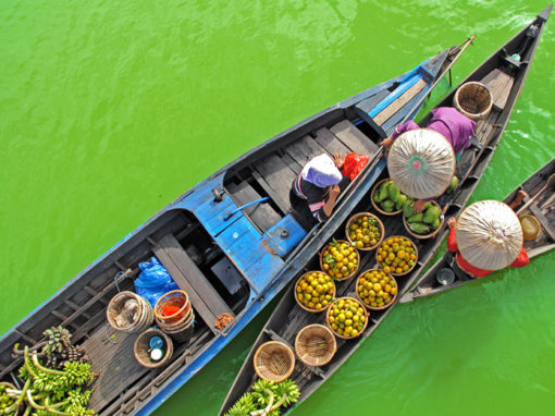 borneo floating market