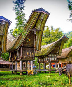 tana toraja