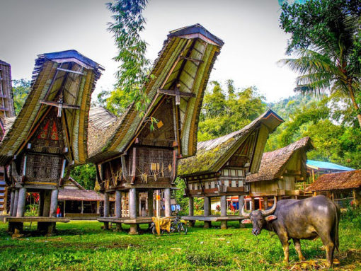 tana toraja