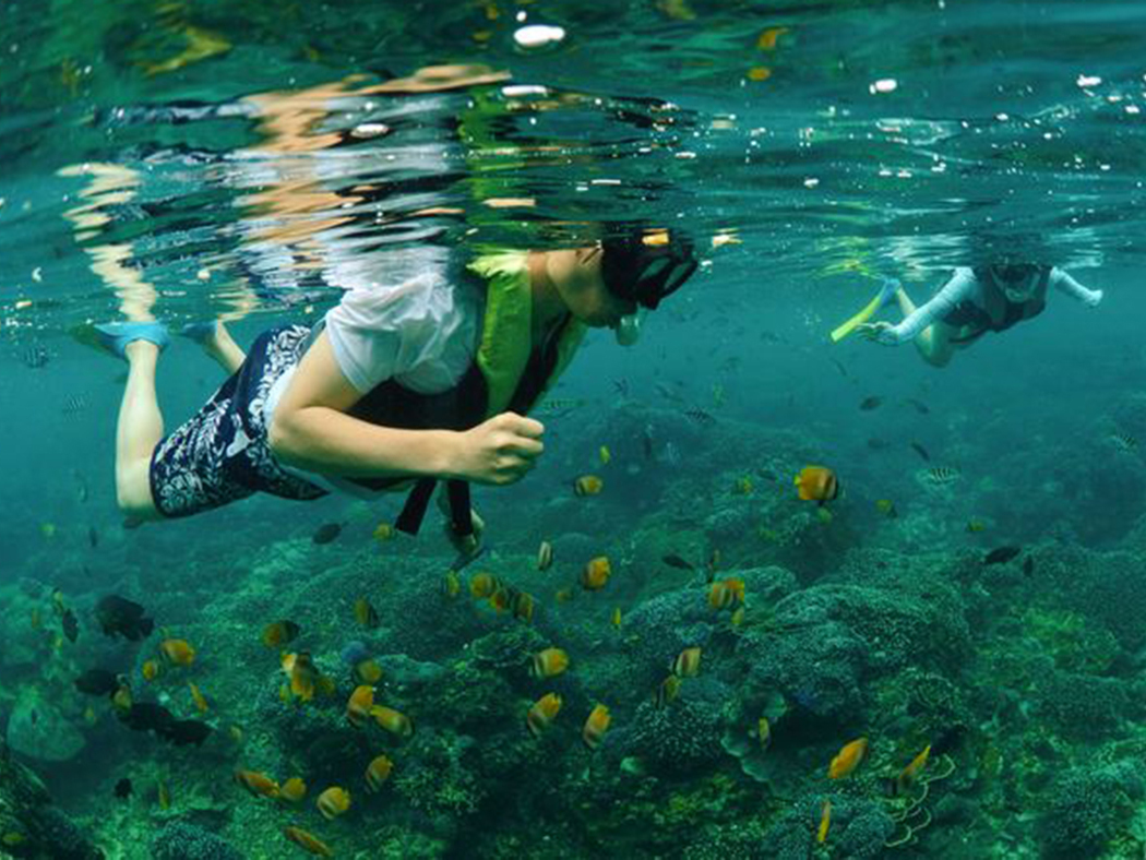 Castaway Escape Bali Hai
