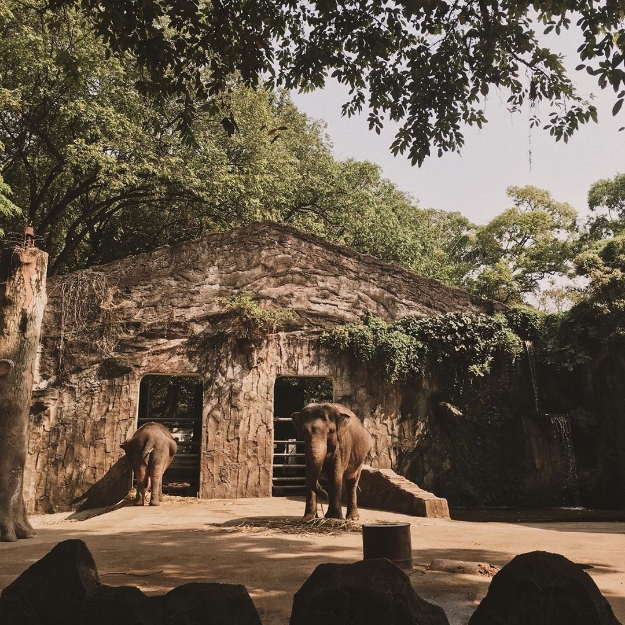 ragunan zoo