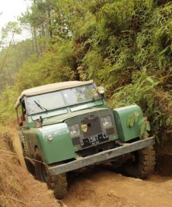 Classic Land Rover Bandung Day Tour : Picnic, Plantation & Village Visit