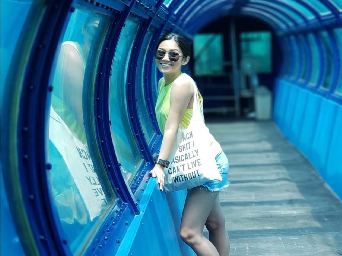See marine life through an undersea tunnel