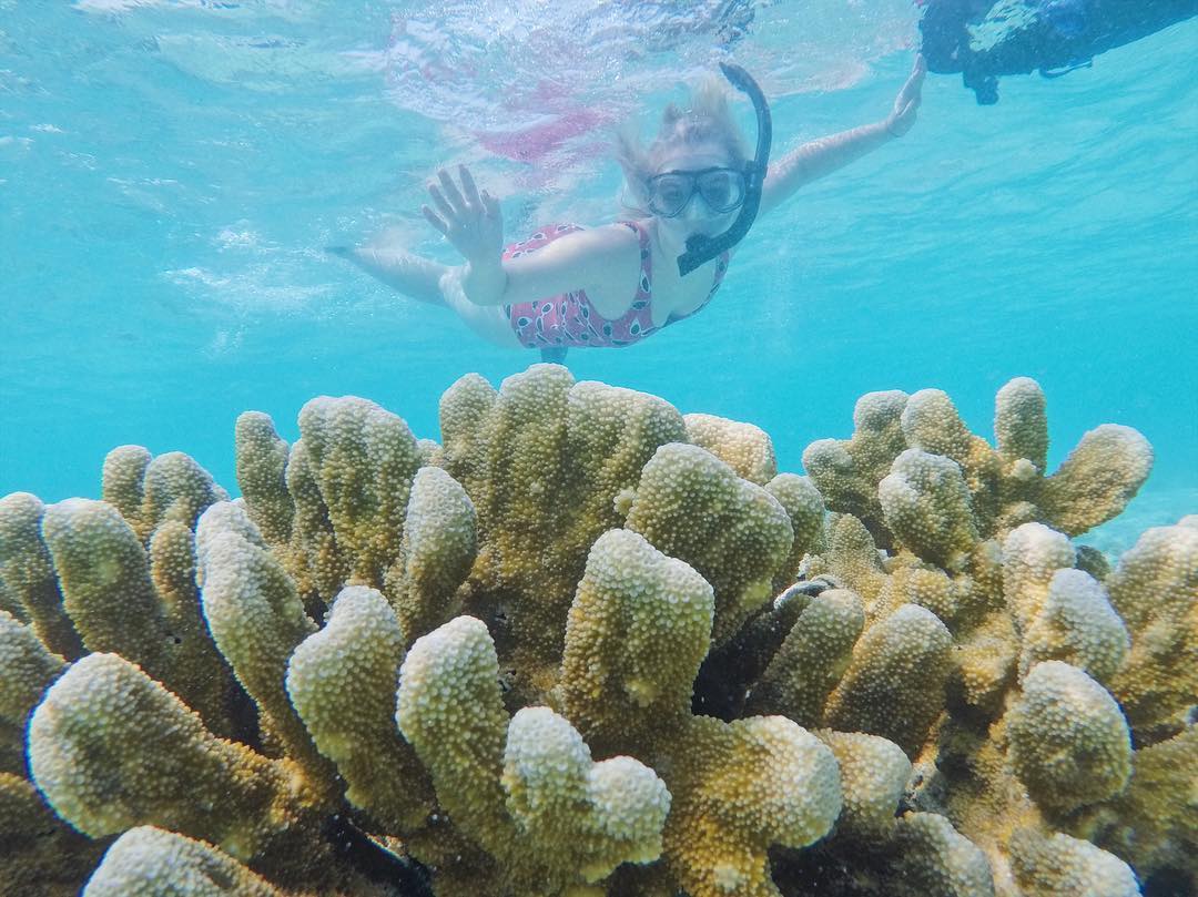 Sepa Island, the reefs surrounding Thousand islands are home to marine life and multicolored corals