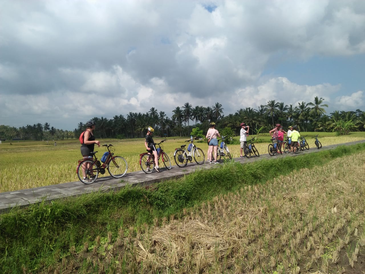 electric bike tour bali