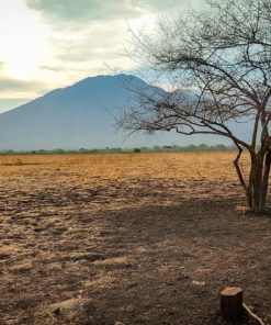 baluran national park