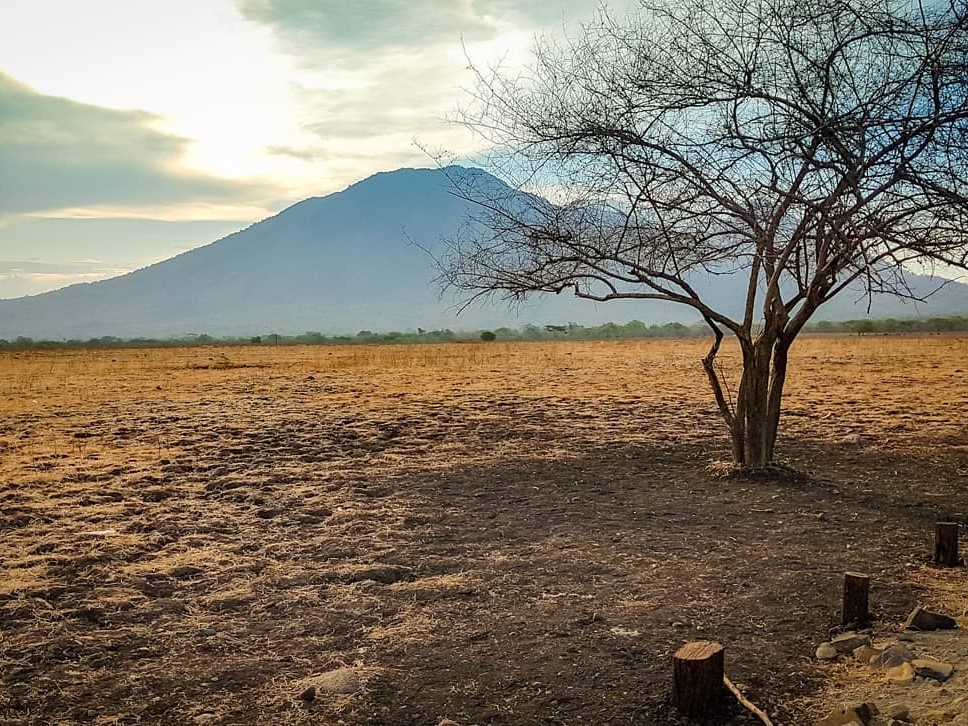 baluran national park