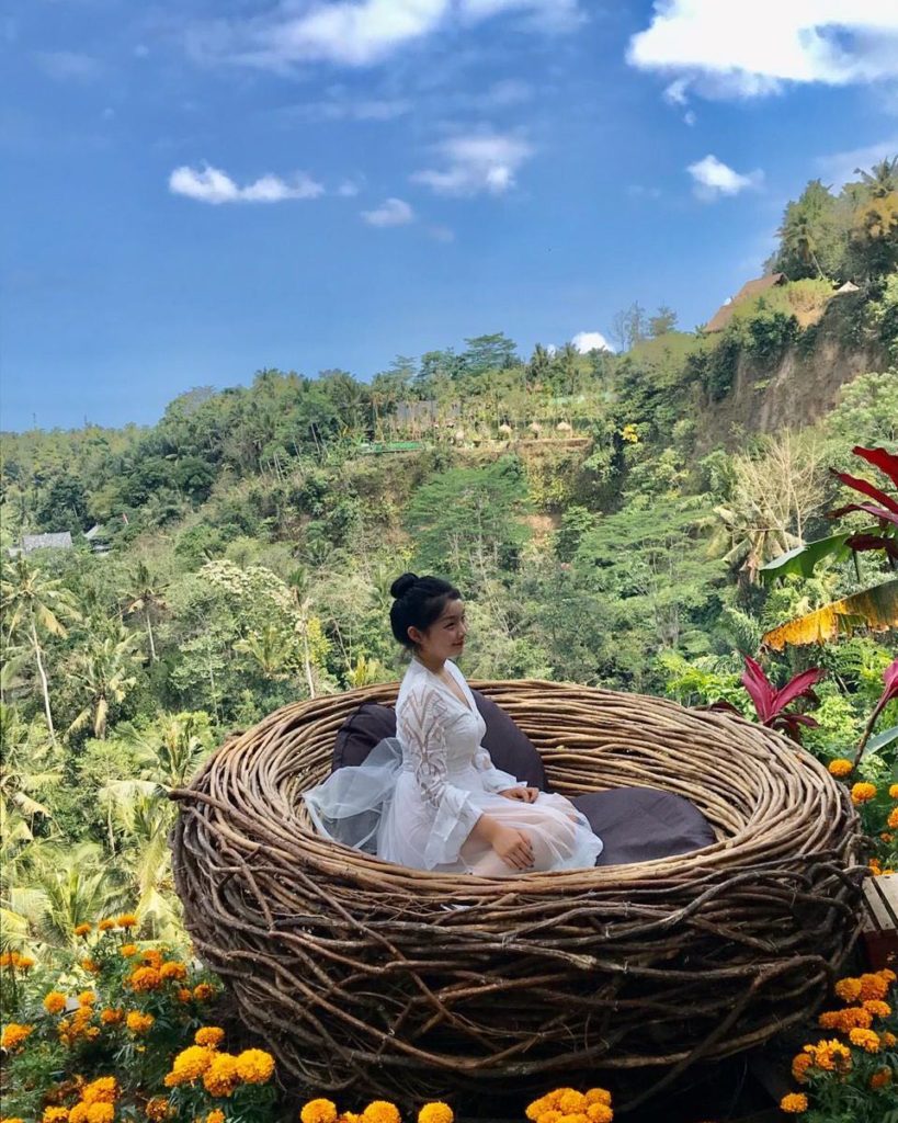 Bali Jungle Swing, Bird Nest, Ayung River Rafting All Inclusive