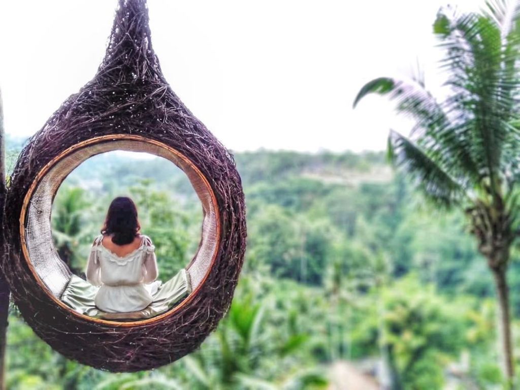 ubud bird nest